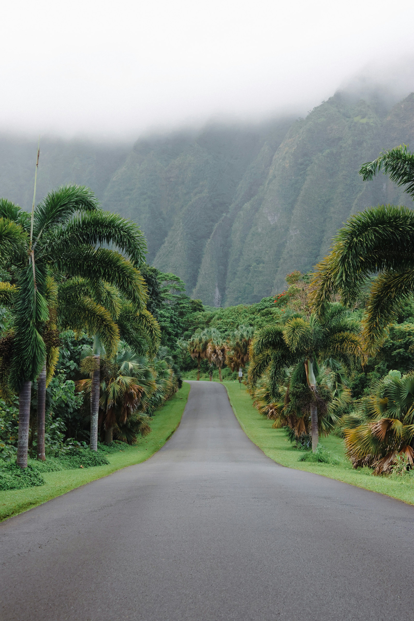 Misty field road beneath the Koʻolau cliffs, shown as area context